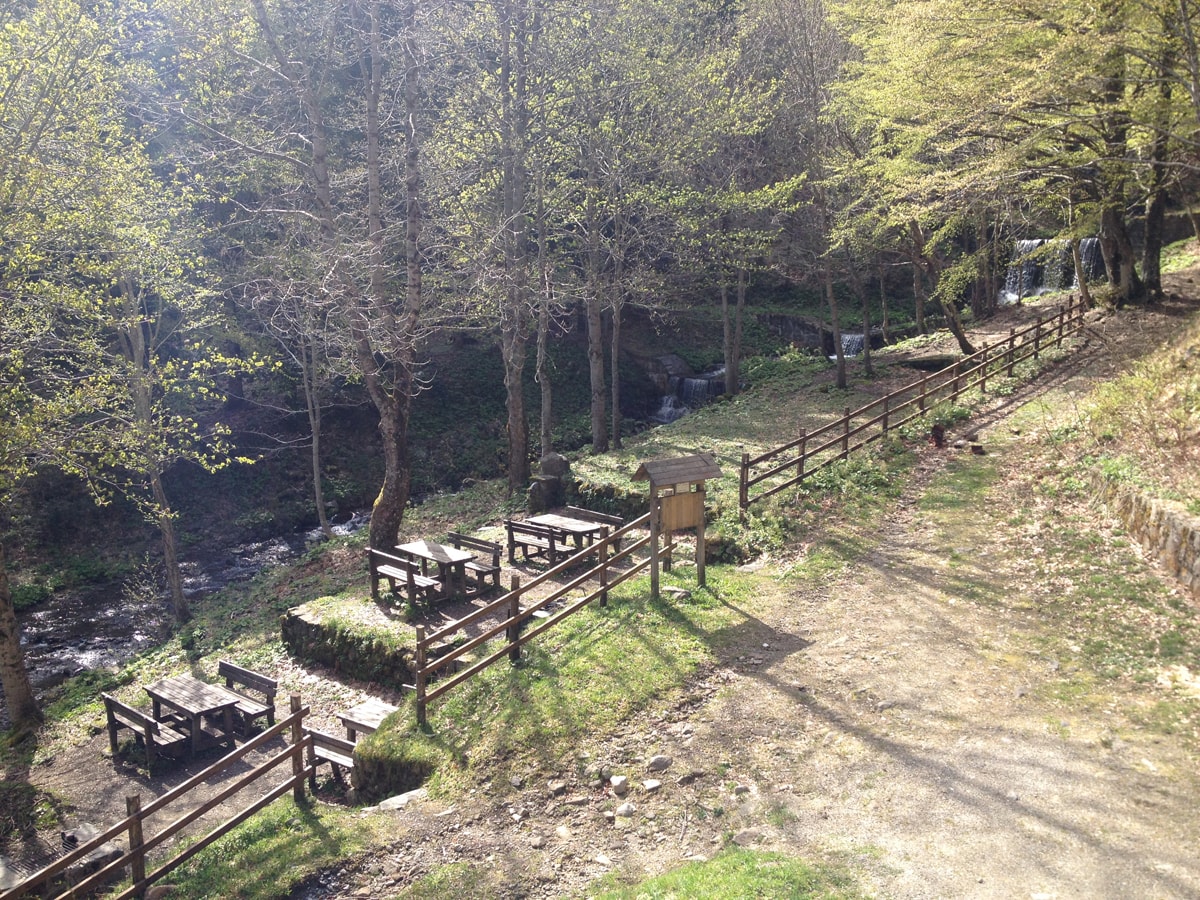 pranzare e cenare al rifugio rio re. area pic-nic