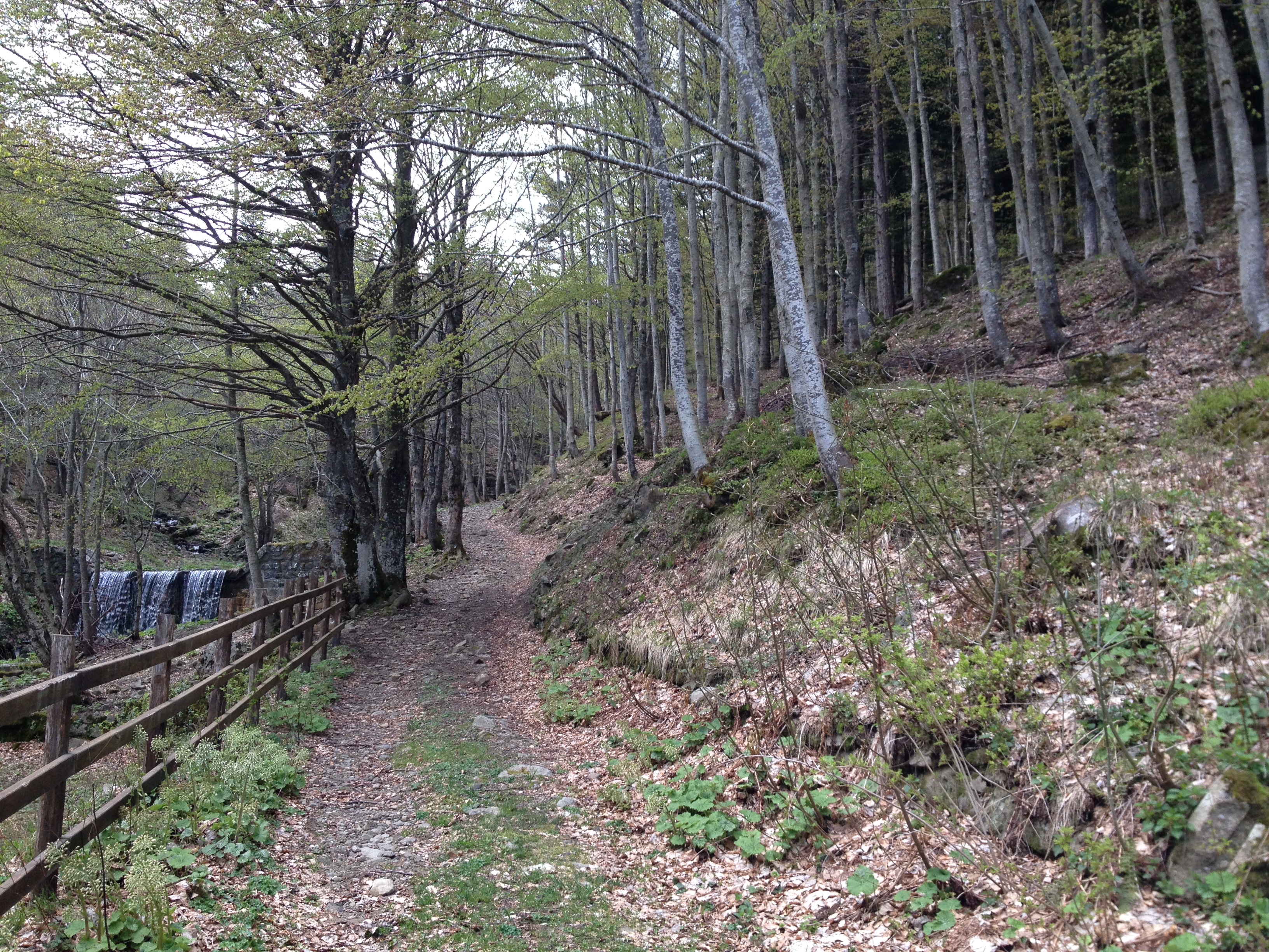 Il Rifugio