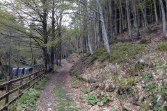 Il Rifugio